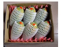 關(guān)于云生水果網(wǎng)套的優(yōu)勢(shì)是什么？